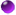 紫の玉 小